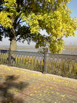 открыть 768x1024 350kb
